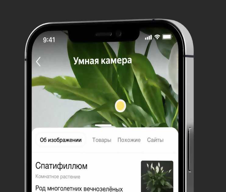 Преимущества и недостатки поиска с умной камерой «Яндекса»