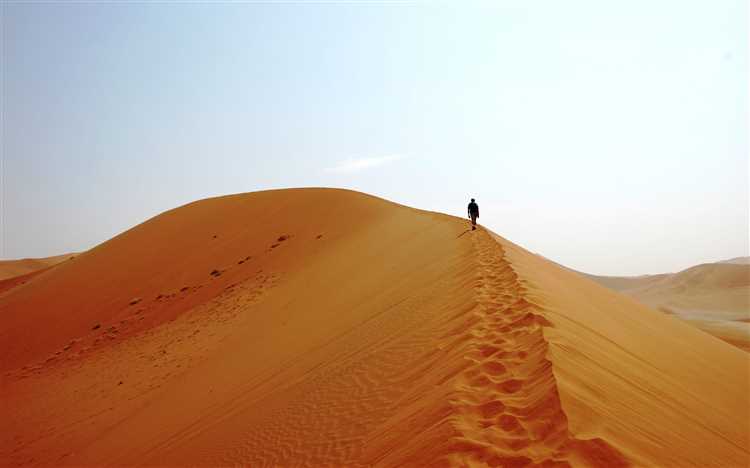 Продвижение молодого сайта: как пройти пустыню Сахару и остаться живым?